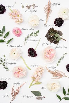 flowers are arranged on a white surface with the names of each flower and their petals