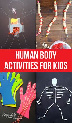 human body activities for kids to learn