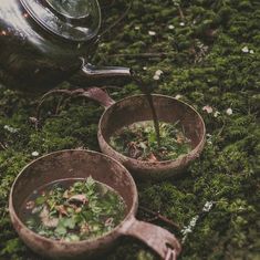 two old metal bowls filled with food on top of green moss covered ground, next to a teapot