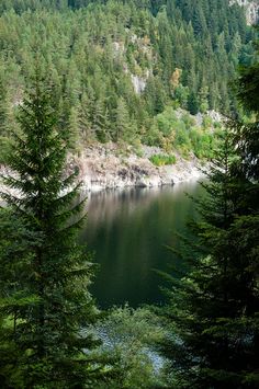 a lake surrounded by trees in the middle of a forest