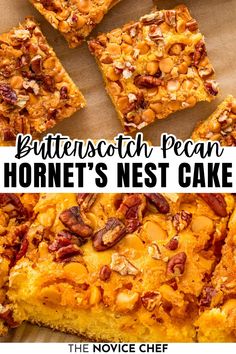 Butterscotch Cake Recipe, Turkey Desserts, Nest Cake, Cake Mix Recipe, Caramel Apple Dump Cake, Novice Chef, Gooey Cake, Quick Cookies, Butterscotch Cake