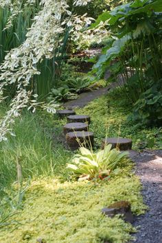 the path is lined with stepping stones and plants