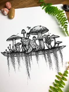 an ink drawing of mushrooms and toades on a sheet of paper next to ferns