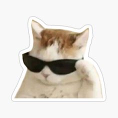 an orange and white cat wearing sunglasses sticker