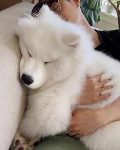 a woman is holding a white dog on her lap while she sleeps with her eyes closed