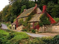 an old house with ivy growing all over it's roof and windows, along with a driveway