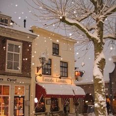 snow falling on the ground in front of a building and tree with lights hanging from it