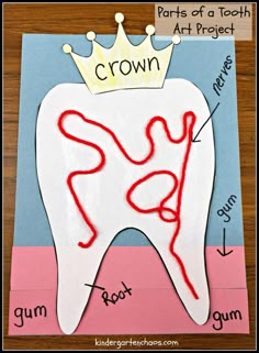 a drawing of a tooth with the words crown on it and parts of a teeth