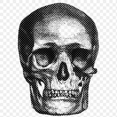 a black and white image of a skull with glasses on it's head, in half