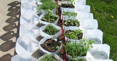 several white containers filled with plants on top of a grass covered park bench next to a sidewalk