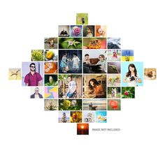 a collage of many different pictures with people and animals in them, all arranged in the shape of a tree