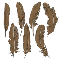 four pieces of paper with different shapes and sizes of feathers on the bottom one side