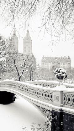 a bridge that is covered in snow with buildings in the background