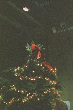 a small christmas tree with lights on it