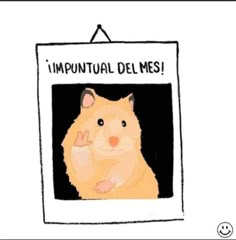 an image of a hamster with the caption impuntal del mes