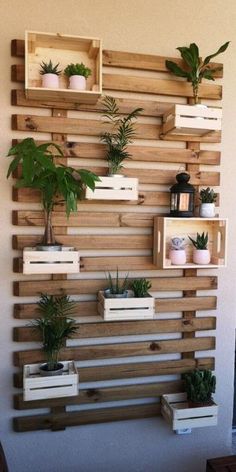 wooden pallet wall with plants and potted plants