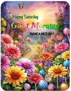 happy saturday good morning have a nice day greeting card with flowers and lollipops