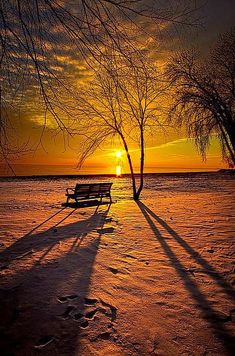 a bench sitting in the middle of a snow covered field with trees and sunset behind it