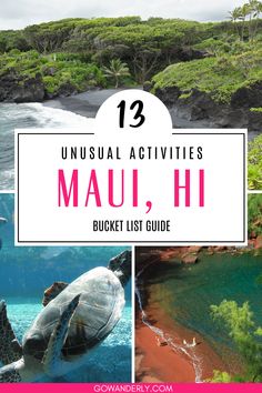 13 unique Maui activities that are perfect for families, couples, and solo travelers seeking off-the-beaten-path adventures. Free Things To Do In Maui, Maui Must Do Activities, Maui Things To Do, Must Do In Maui, Road To Hana Maui, Maui Food