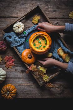 a person holding a bowl of soup on top of a wooden table surrounded by pumpkins