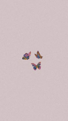 three colorful butterflies flying in the sky on a pink and purple background with space for text