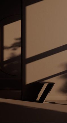 shadows cast on the wall and floor in an empty room with a plant next to it