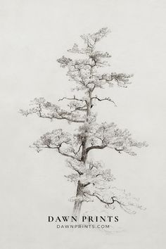 a drawing of a tree with the words dawn prints on it