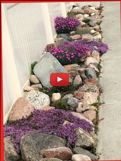 a rock garden with purple flowers growing in it and a red frame around the edges