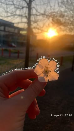 someone holding a flower in their hand with the sun setting behind them and there is no image on it