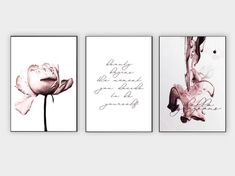 three framed pictures with pink flowers and the words,'love is in the air '