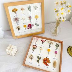 two framed pictures with flowers in them sitting next to each other on a white table