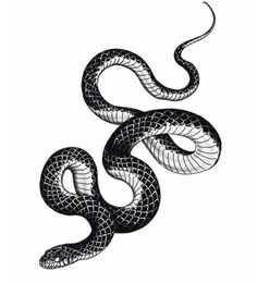 a black and white drawing of a snake