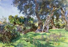 watercolor painting of trees and grass on a sunny day