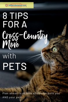 a cat laying down with the words 8 tips for a cross - country move with pets