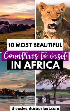 the top 10 most beautiful countries to visit in africa