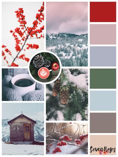 the color palette is red, grey and white with pineconis in the background