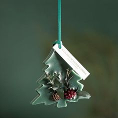 a christmas ornament hanging from a string with pine cones and berries on it