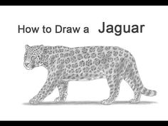 a drawing of a jaguar with the words jaguar speed drawing