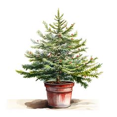 a watercolor painting of a christmas tree in a pot with red berries on it