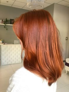 Haircut Ginger Hair, Red Hair Copper, Hair For Beginners, Red Hair Trends, Copper Blonde Hair, Windows To The Soul, Natural Red Hair, Red Hair Inspo, Ginger Hair Color