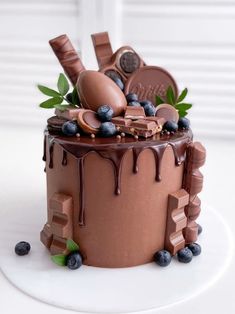 a chocolate cake with blueberries and mints on top