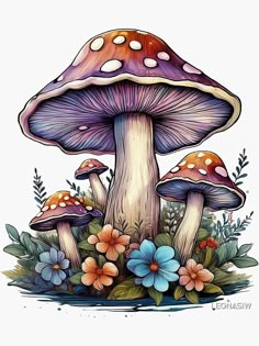 a drawing of mushrooms and flowers on a white background