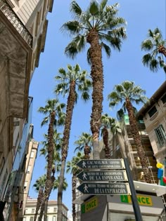 palm trees line the street in front of an apartment building with signs on it's sides