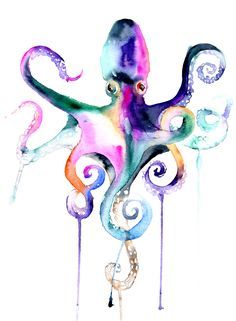 an octopus is painted with watercolors on white paper