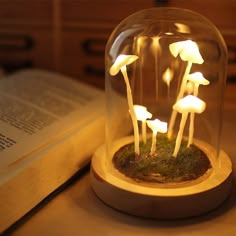 mushrooms in a glass dome on top of a table with an open book behind it