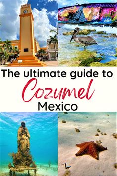 the ultimate guide to cozumel mexico with pictures and text overlaying it