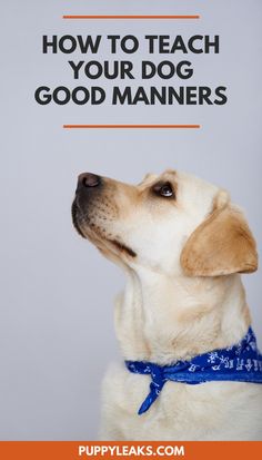 a dog with its head up and the words how to teach your dog good manners