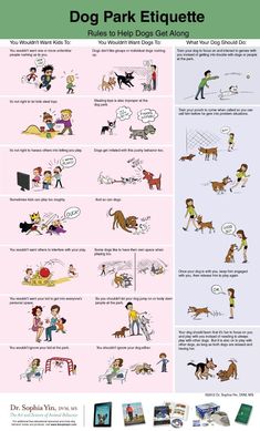 a poster showing different types of dogs and their owners