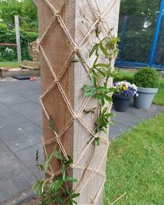 a wooden post with vines growing on it's sides and some potted plants in the background