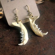 Animal Bones Jewelry, Unique Jewelry Earrings, Mouse Bone Jewelry, Animal Teeth Jewelry, Bones Jewelry, Teeth Earrings, Creepy Earrings, History Jewelry